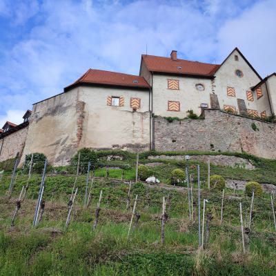 2024 Tagesausflug nach Efringen-Kirchen und Staufen